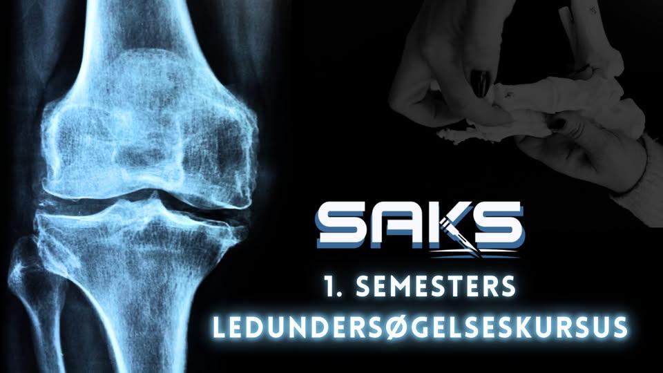 Ledundersøgelseskursus (1.semester)